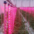 E27/E26 Led grow light 3W